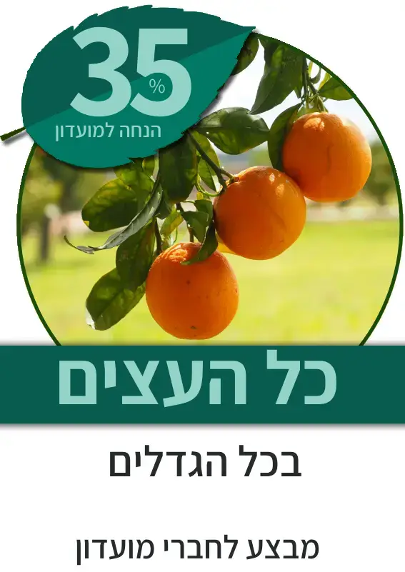 כל העצים נוי ופרי
